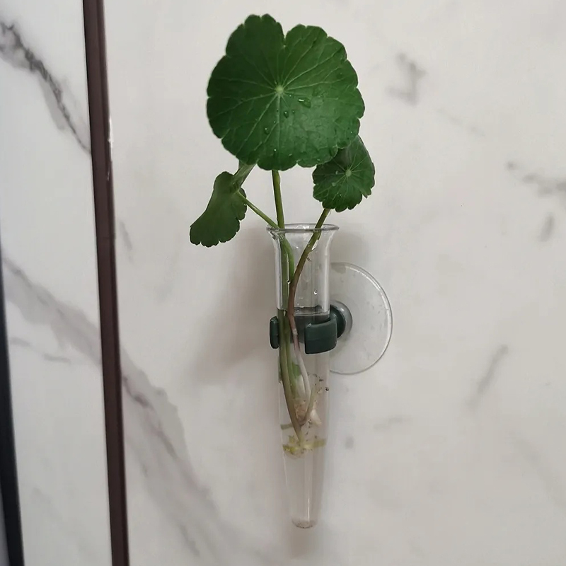 11cm Bloemstukken Waterbuizen  - Nutrition & Fitness Class recensie en prijs