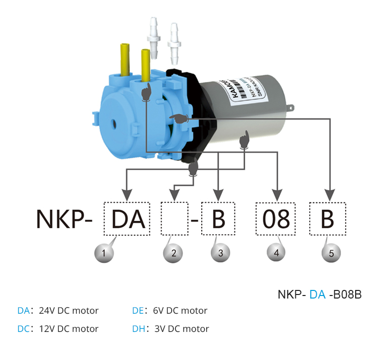 2026 nieuwe NKP 6V 12V 24V DC  - Nutrition & Fitness Class recensie en prijs