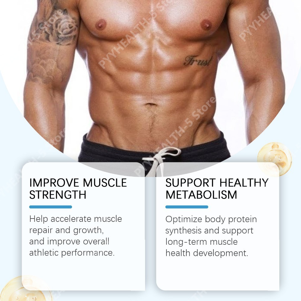 Dagelijkse Fitness Ondersteune - Nutrition Fitness And Wellness recensie en prijs
