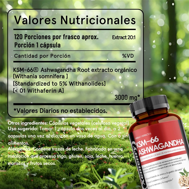 KSM 66 Ashwagandha wortelextra - Ashwagandha Extract Root recensie en prijs