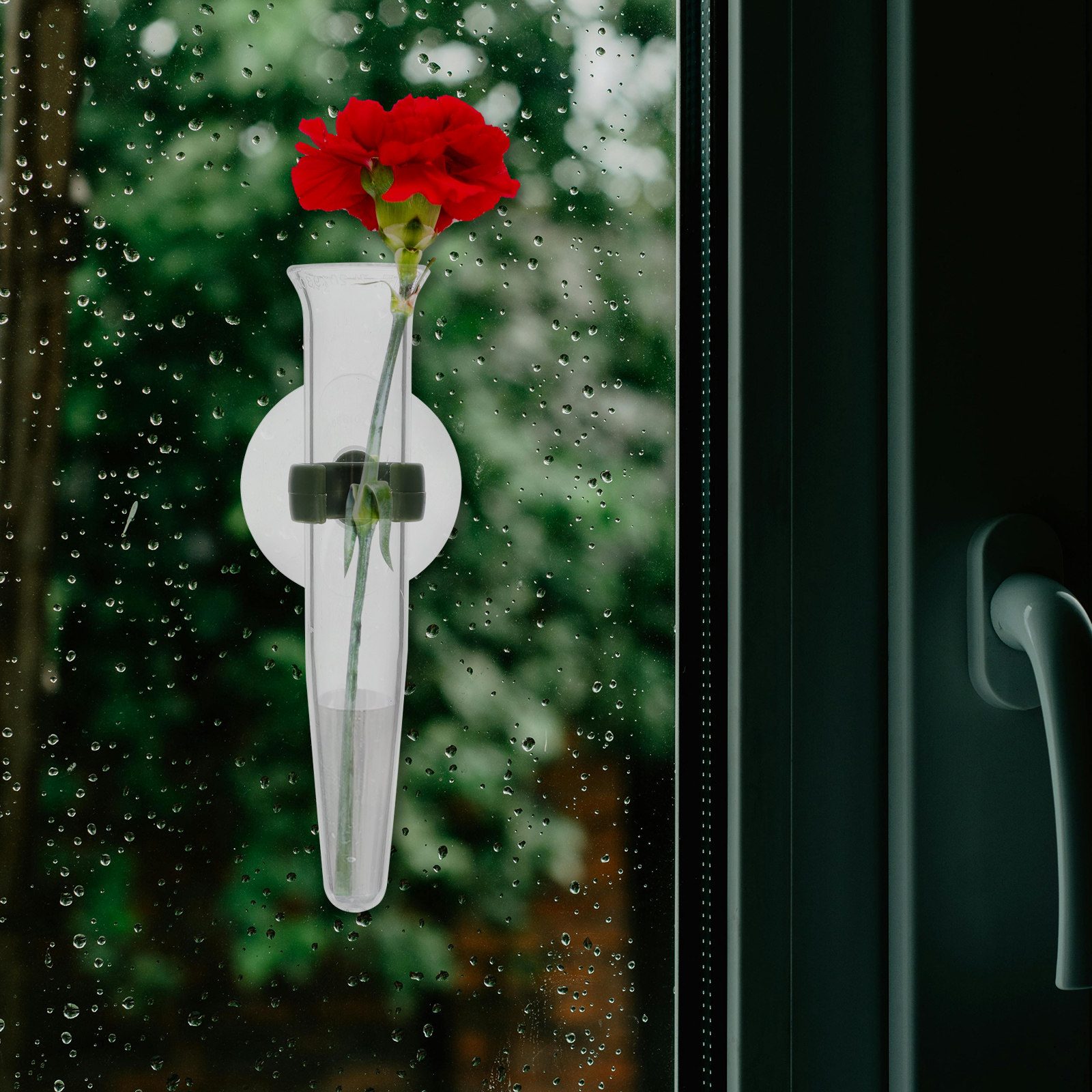 8 stuks bloemenslang opberg si - Nutrition & Fitness Class recensie en prijs